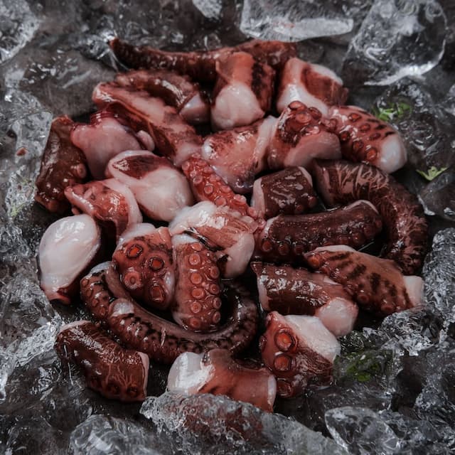 Cut Giant Octopus