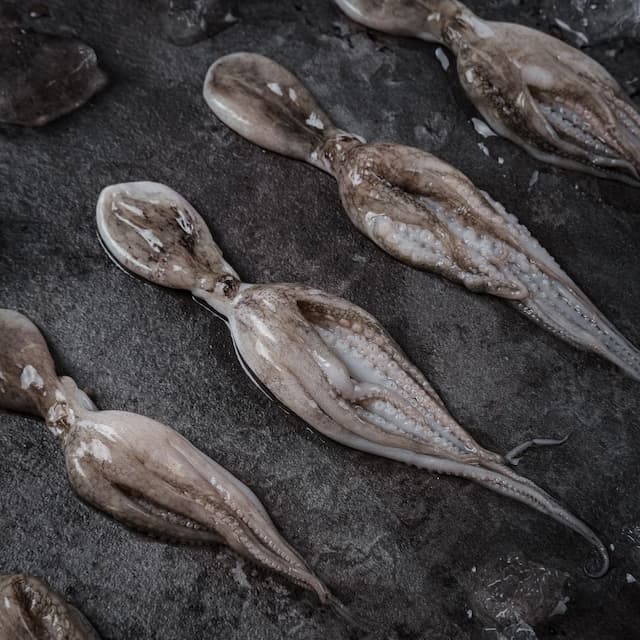 Whole Baby Octopus